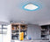 N300 Wireless N Ceiling Mount Access Point